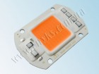 Светодиод для растений (Фитосветодиод) LED 50W 220V